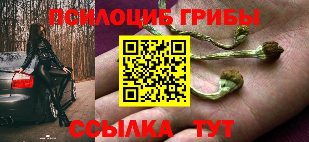 Галлюциногенные грибы Magic Shrooms  Галлюциногенные грибы Psilocybe  Вход с VPN  Зима 